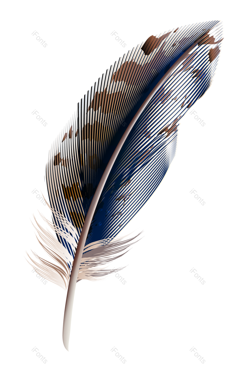 渐变图片,动物元素,羽毛PNG,免抠素材